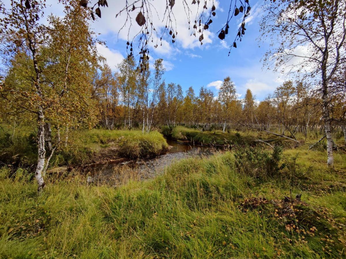 Villa Lavijoki Karesuvanto Bagian luar foto